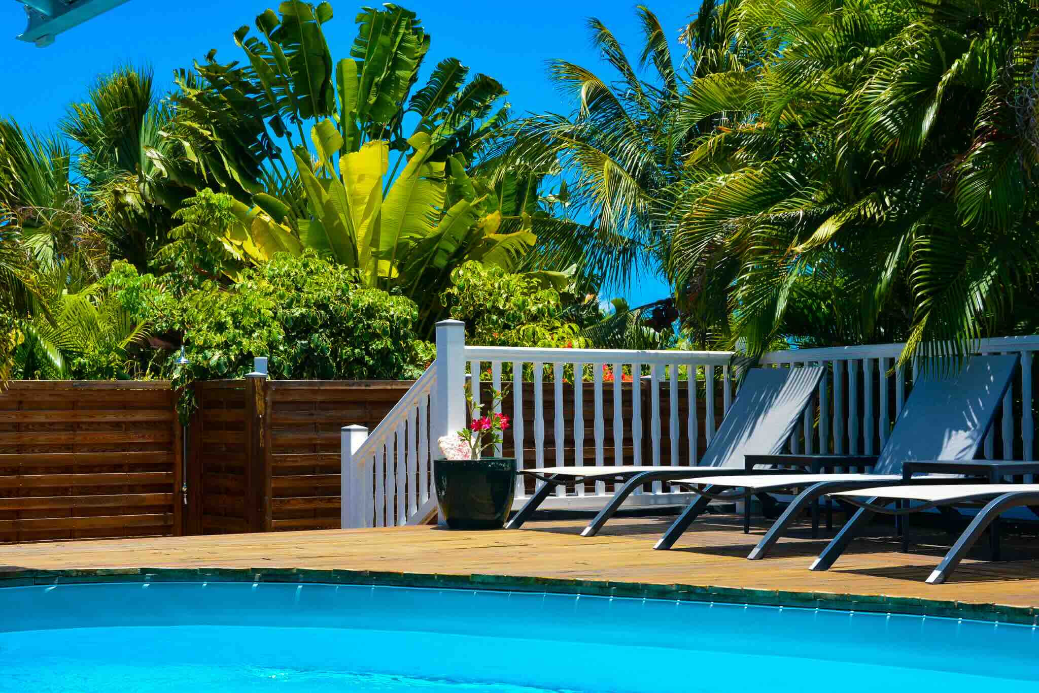 Très belle villa familiale disponible à la location pour vos vacances en Guadeloupe, totalement rénovée avec piscine privée et jacuzzi pour 8 personnes dans un jardin tropical située dans une résidence privée